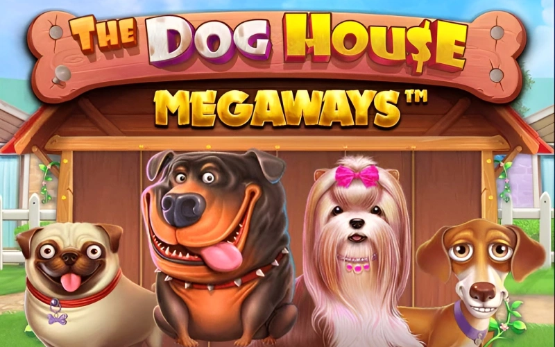 Wykorzystaj ogromny potencjał automatu The Dog House Megaways w Verde Casino.